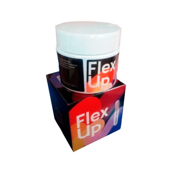 ❦ Flex Up ⏤ joint health product